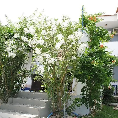 Karmik Concept 3*